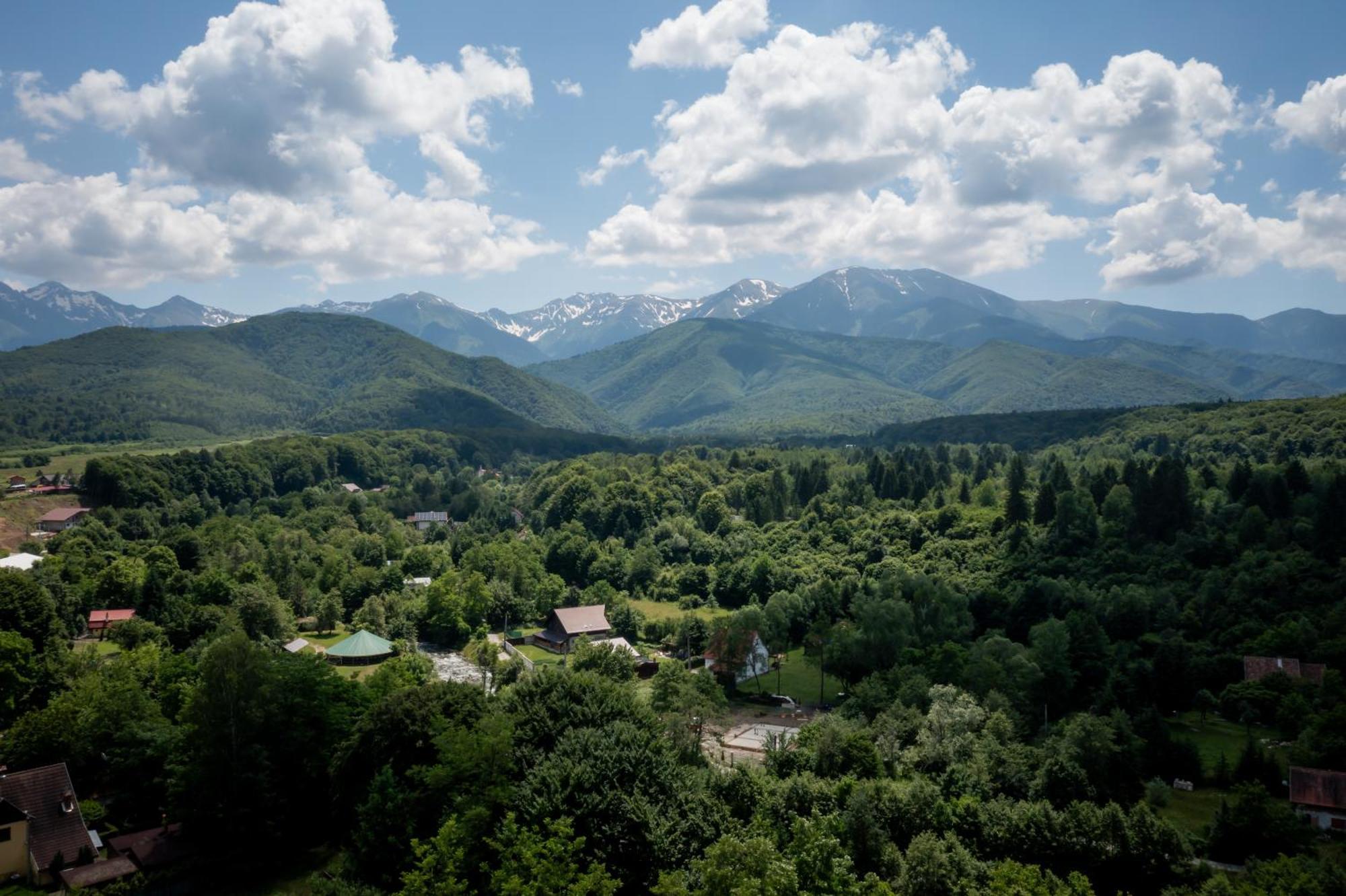 Evergreen Chalet Avrig Zewnętrze zdjęcie